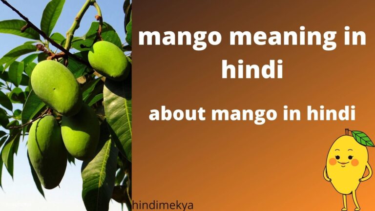 mango meaning in hindi